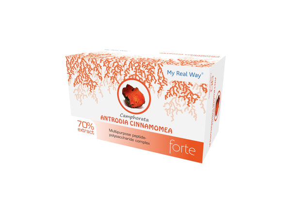 ANTRODIA CAMPHORATA 70% - 90 KAPSULIŲ